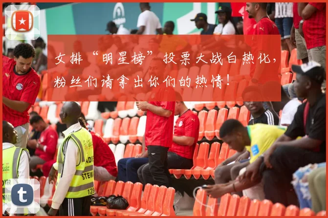 女排“明星榜”投票大战白热化，粉丝们请拿出你们的热情！